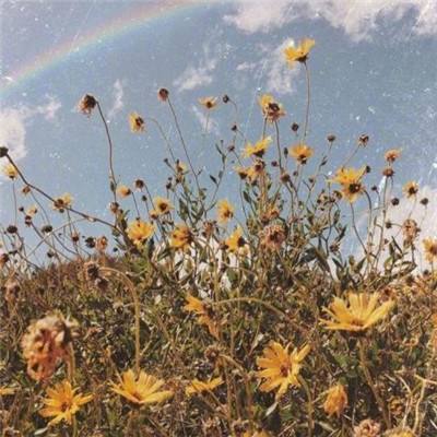 必博手机网页版app下载