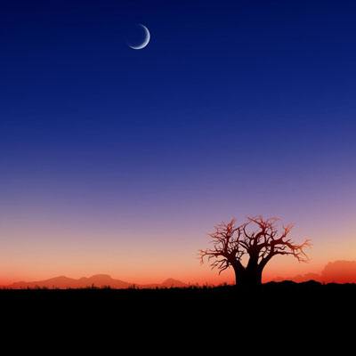 金博宝下载手机版