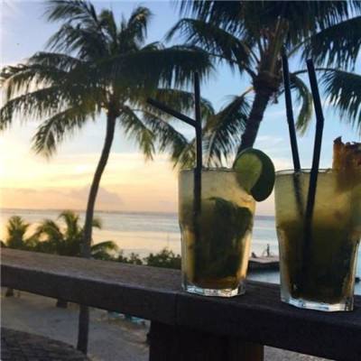 半岛手机网页版登录入口