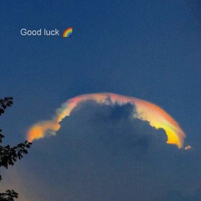 NG体育·(南宫)下载手机版