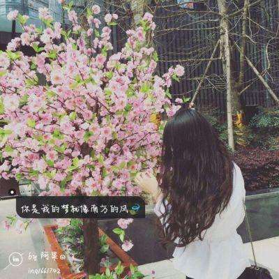 半岛网页版入口官网